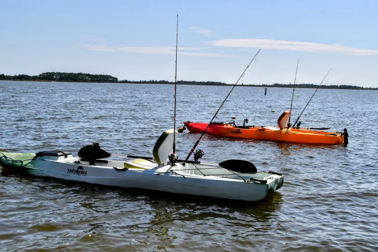 Two fishing kayaks with a dog aboard near the marsh