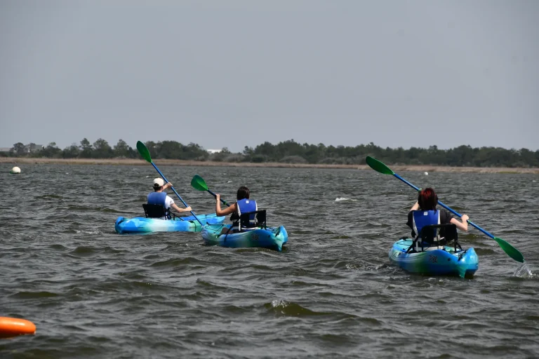 Group of guests paddling kayaks on the sound
