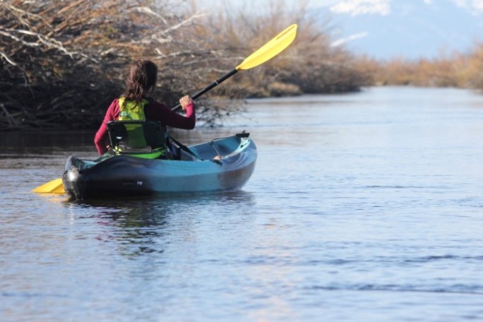 Person kayaking on a calm river with branches and mountain view in the background.